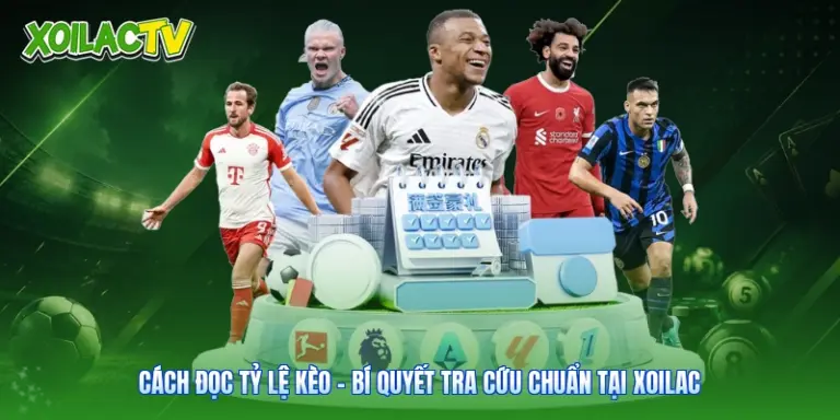 Cách Đọc Tỷ Lệ Kèo - Bí Quyết Tra Cứu Chuẩn Tại Xoilac