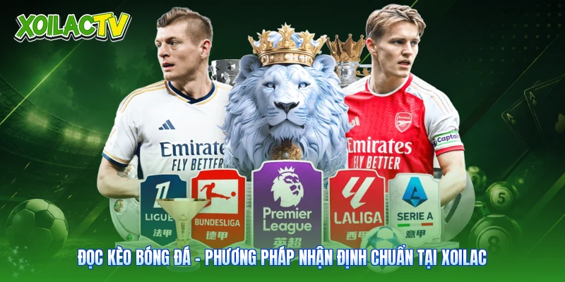 Đọc Kèo Bóng Đá – Phương Pháp Nhận Định Chuẩn Tại Xoilac